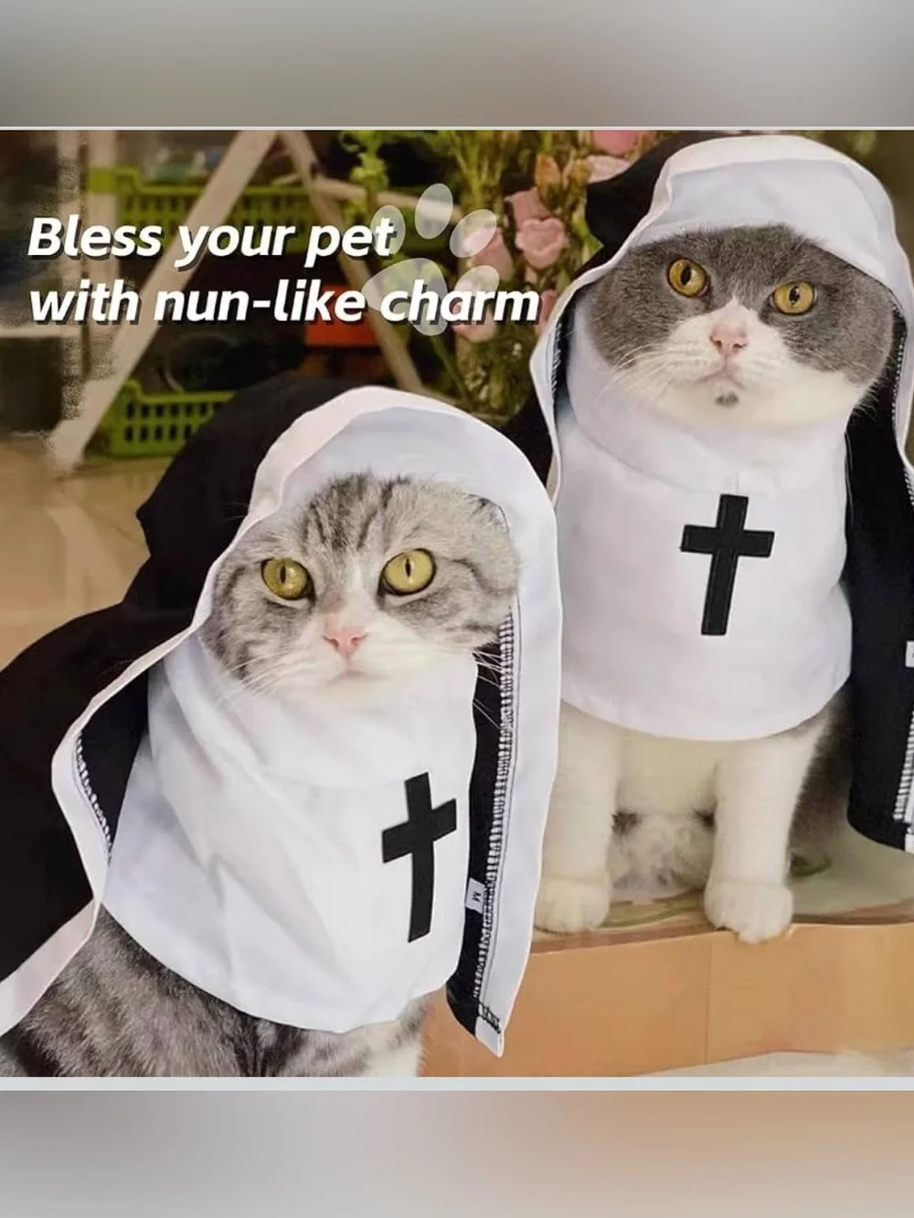 ⛪️ NWT Nun Costume for Cats ⛪️